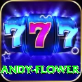 andy flower Ultimate v4.9.0