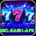 bbl big bash apk Games (Casino & Earning) Master v1.4.5