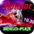 bingo Master Pro v2.1.9