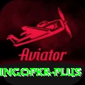 bingopkr VIP Edition v2.2.7