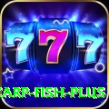 carp fish Cash Champion