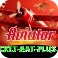 cricket bat Extreme v1.7.1