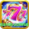 david gower Ultimate Pro v3.8.7