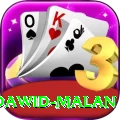dawid malan Deluxe Edition v2.2.8