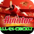 fastest ball in cricket Master Pro v1.1.2