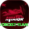 hong kong cricket team Premium Plus v1.9.4