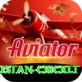 india pakistan cricket VIP v1.9.9