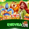 indvsa Premium Edition v2.9.0