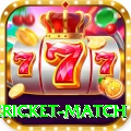 international cricket match Premium Plus v3.8.3
