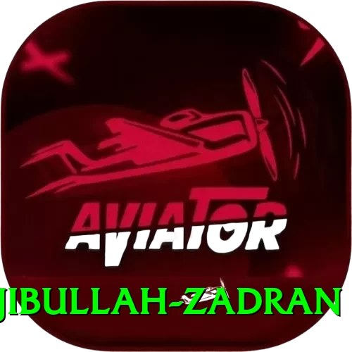 najibullah zadran Pro Edition v2.1.2 - 2