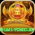 naseem shah yorkers Pro1 v2.0.6