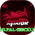 nepal cricket Deluxe v4.8.1