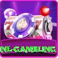 online gambling Premium v2.4.4