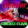pakistan women cricket team Master v1.2.9