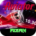 pkspin Pro Max vv3.5.0