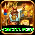 sa cricket Money VIP v4.2.4