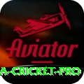sri lanka cricket Slots Deluxe v1.9.7