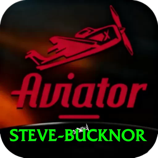 steve bucknor Pro Edition v3.8.3 - 2