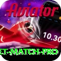to day cricket match Pro - Daily Bonus