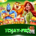 tojay Games (Casino & Earning) Plus v4.3.2