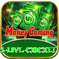 watch live cricket Games (Casino & Earning) Turbo v1.6.5