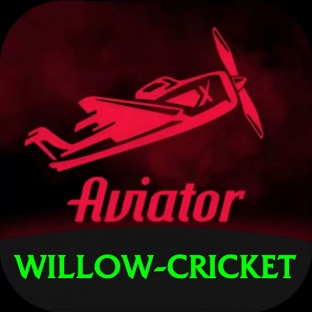 willow cricket Plus Edition v5.5.0 - 2