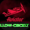willow cricket Plus Edition v5.5.0