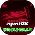 winbaobab Premium Edition v4.9.9